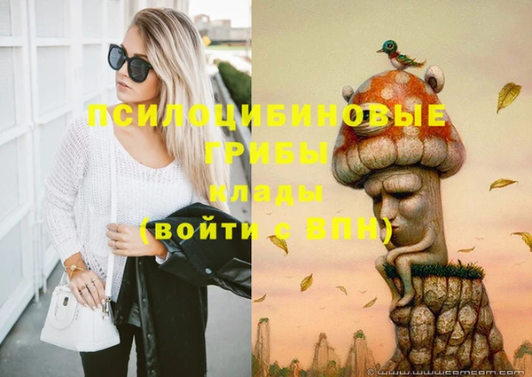 стафф Дмитриев