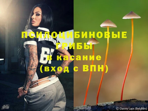 а пвп мука Ельня