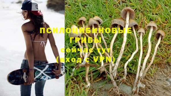 а пвп мука Ельня