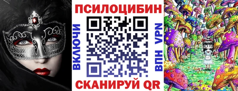 Купить где  Перевоз  Псилоцибиновые грибы Psilocybe 